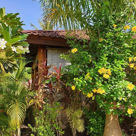 Waiara Village Guesthouse Маумере Екстериор снимка