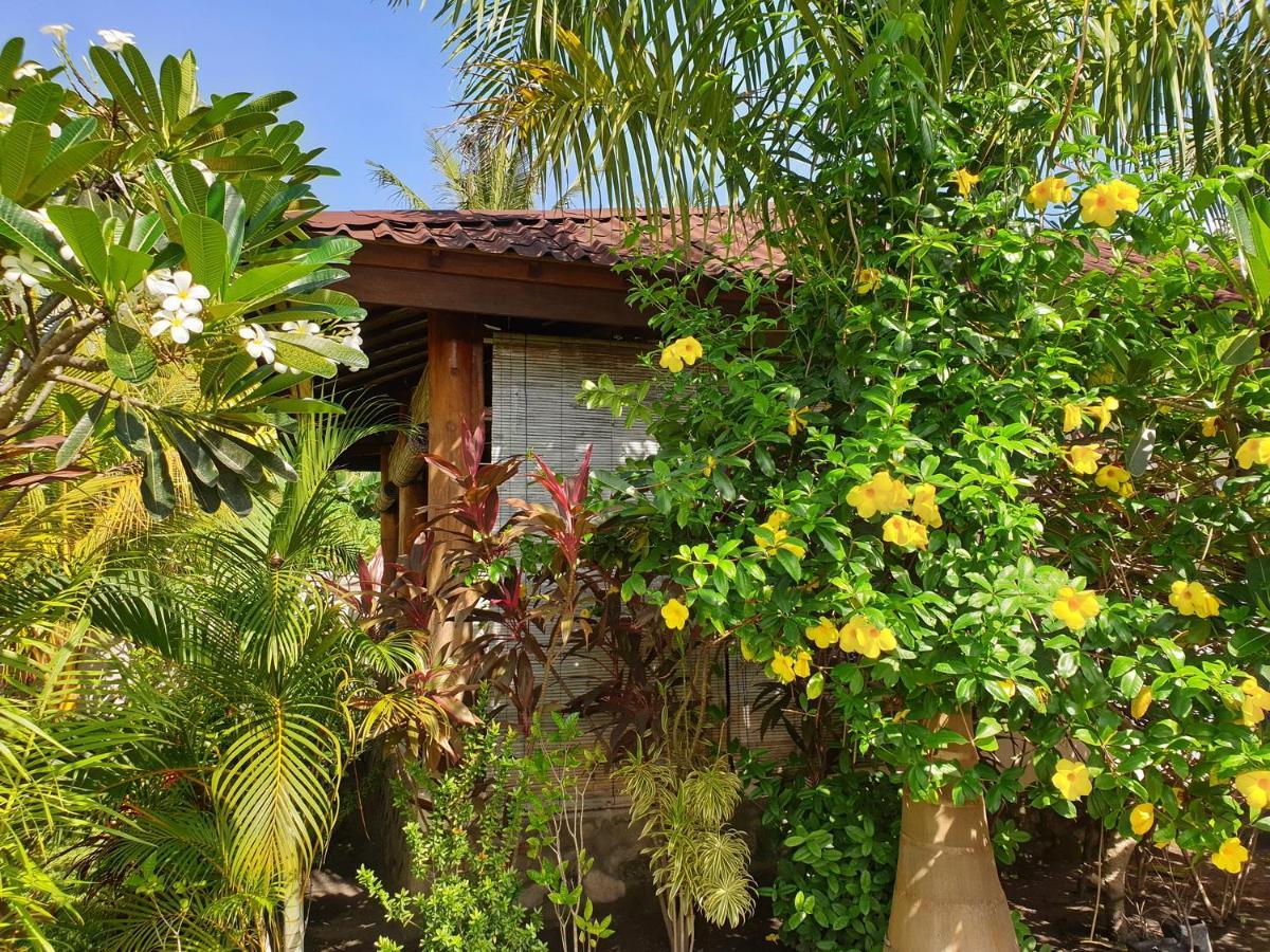 Waiara Village Guesthouse Маумере Екстериор снимка